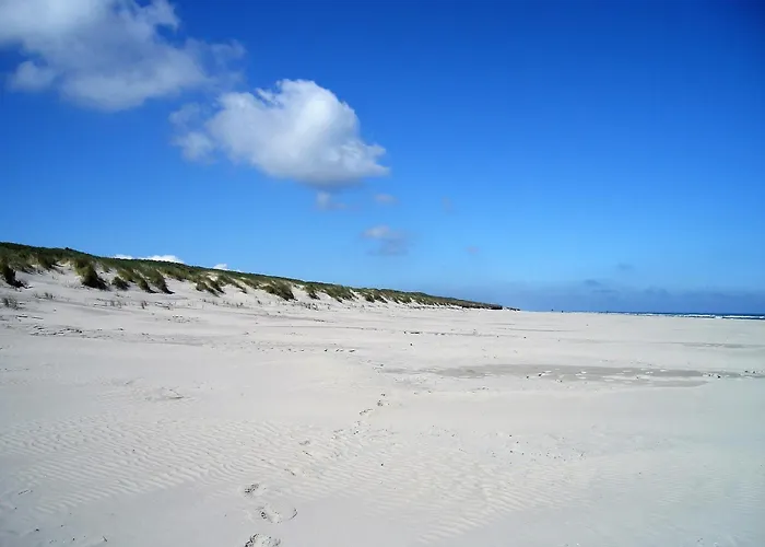 アパート Haus Sanderling Traeumchen